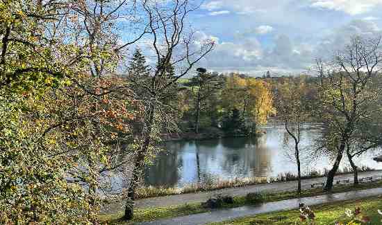 Lake at Queens Park.