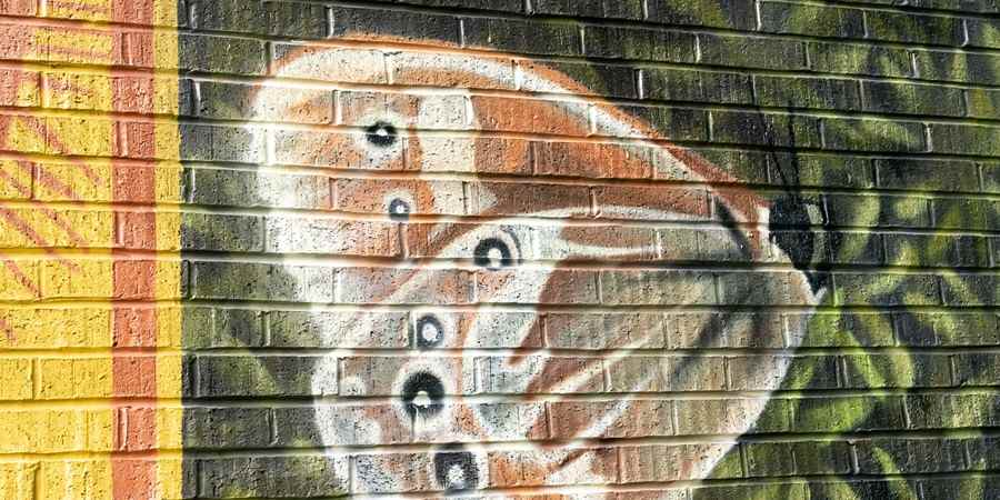 A large butterfly featured in the mural.