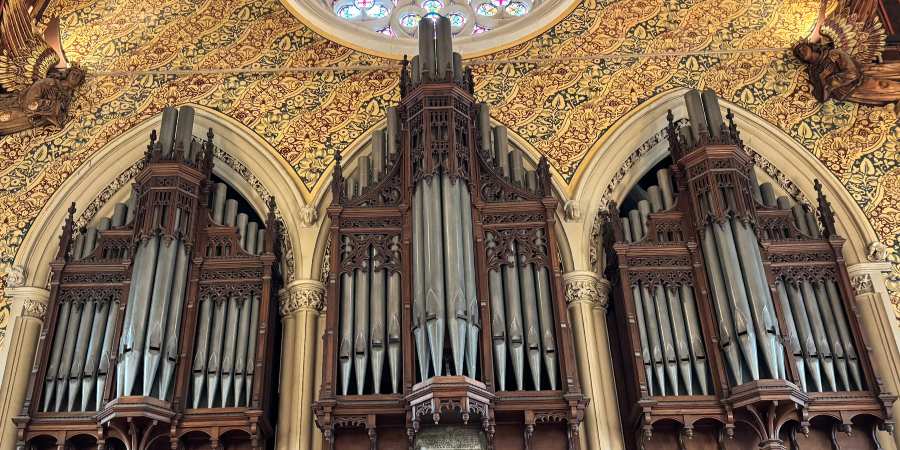 Pipes of the Town Hall organ.