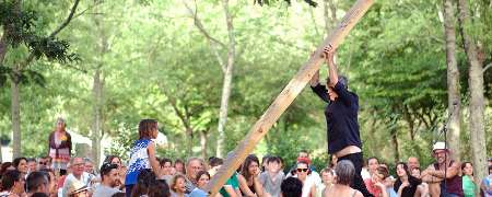 Performance of Damocles.