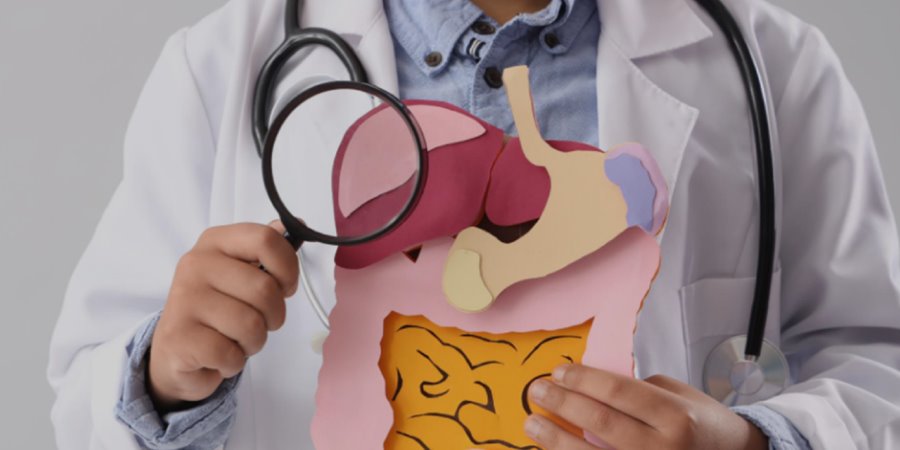 Doctor holding magnifying glass and cut-out of bowel structure.