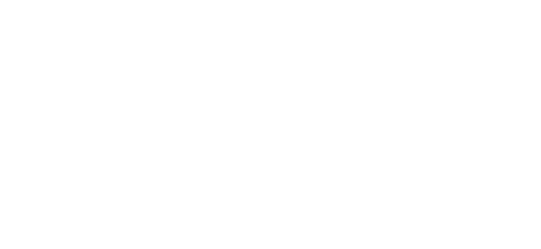 disability logo test