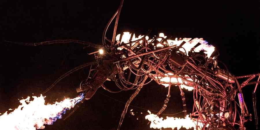 Fire breathing dragon installation.
