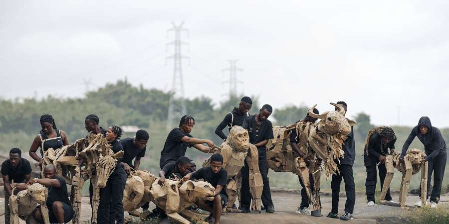 Herds in Kimhasa.
