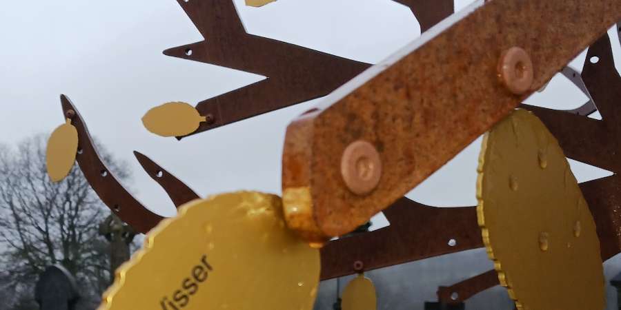 Heywood memorial tree.