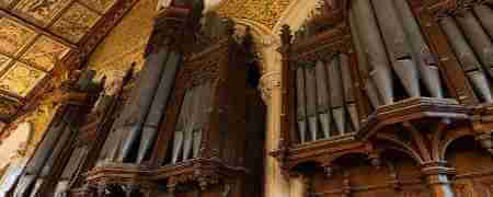 Organ.