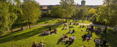 Families having a picnic in a park on a sunny day.