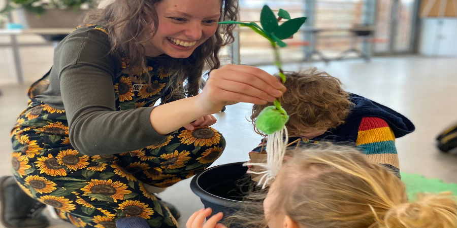 Performance of Pip's Garden.
