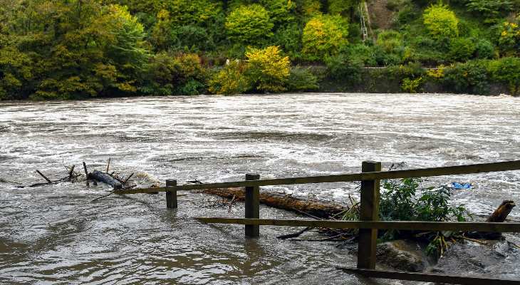 A flooded field.