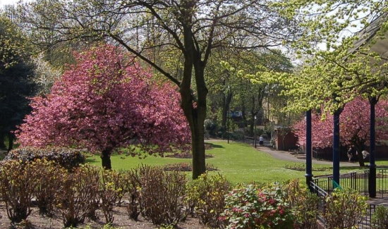 Jubilee Park in spring.