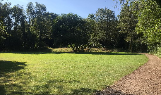 Alkrington Woods on a sunny day.
