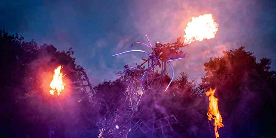 Fire breathing dragon installation.