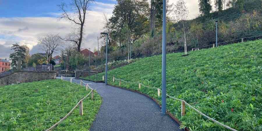 Broadfield Park Slopes.