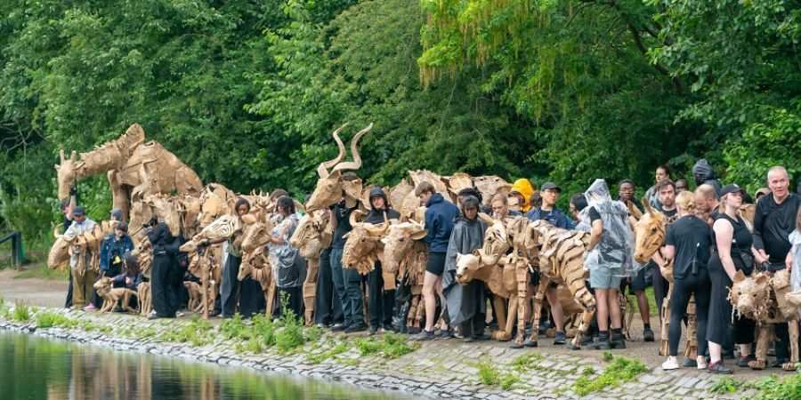 A crowd gathered at the edge of a lake.