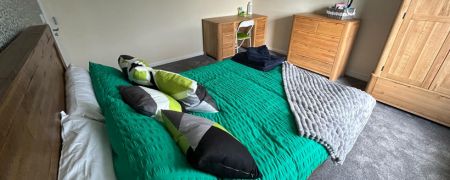A bedroom with a wooden bed frame, a green blanker, and decorative pillows. There is also a wooden dresser, a desk with a chair, and a large wardrobe.