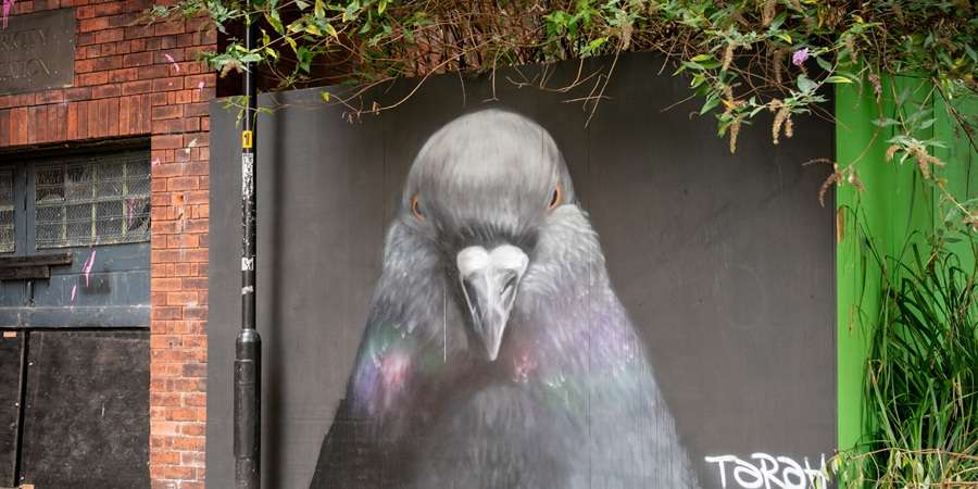 Mural by PIGE.