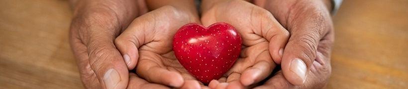 adult pair of hand wrapped round  the hand of a child holding a heart