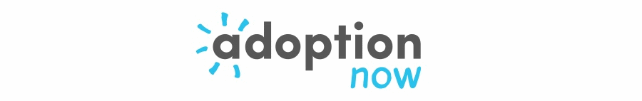 Adoption Now logo.