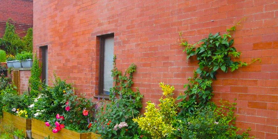 Delightful planters in Smalley Street in Castleton, who took second place.