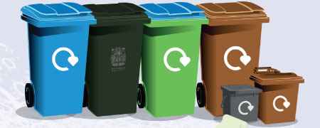 The different bins issued by the council.