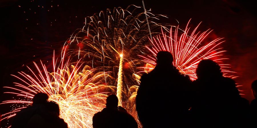 People watching fireworks are night.