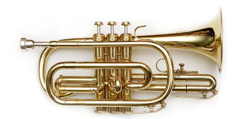 A cornet.