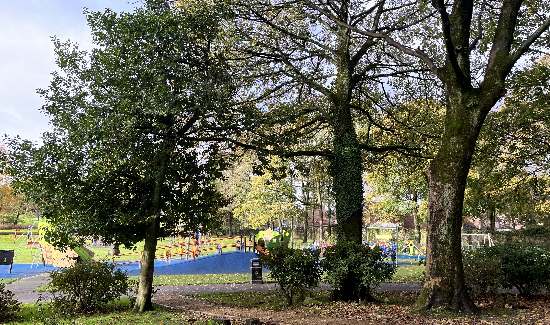 Denehurst Park
