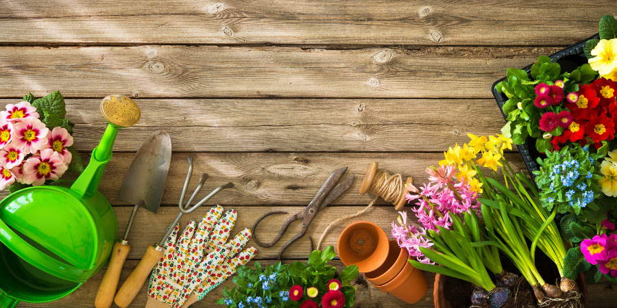 Table top with watering can and flowers.