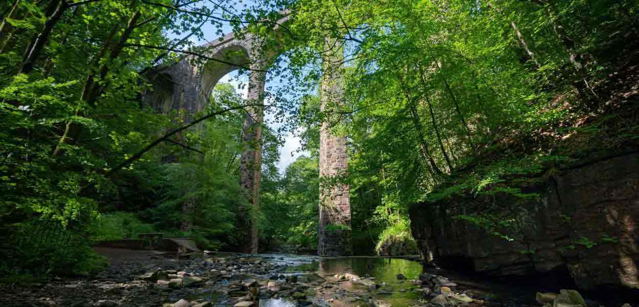Healey Dell.