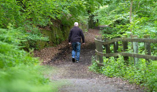 Back of a man walking down a county lane