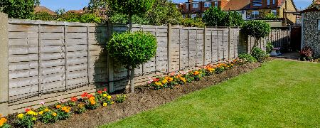A back garden fence.