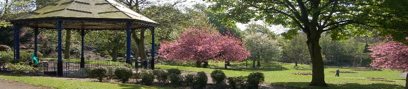 Blossom trees in Jubilee Park, Middleton.
