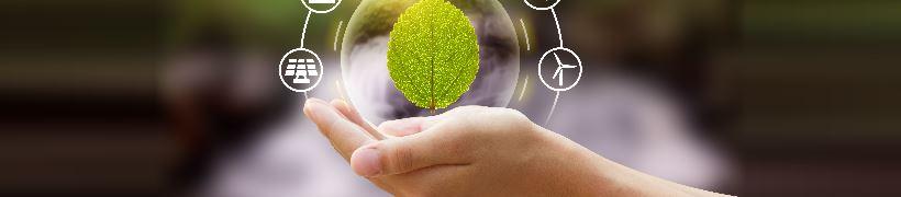 A hand holding a leaf circled with environmental symbols.