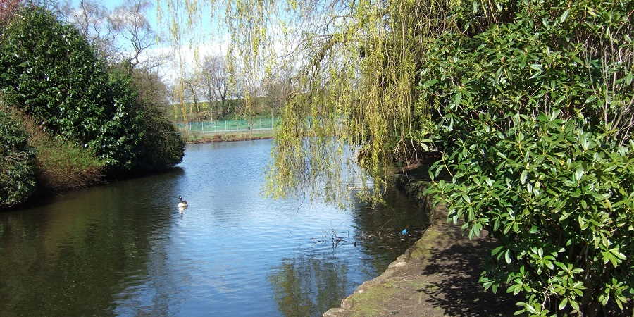 Springfield Park Mere.